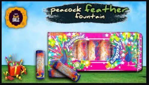 Peacock Feather ( 5 PCS )